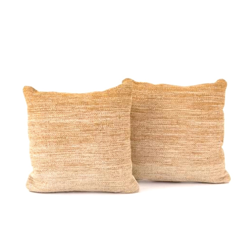 NWT, Pottery Barn Pillows, set of 2